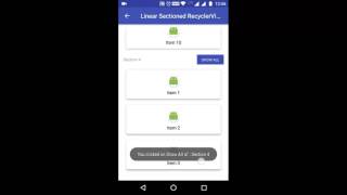 Android Sectioned RecyclerView Demo [upl. by Weed287]