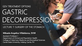 Lecture 73 Gastric Decompression Techniques [upl. by Dwane]