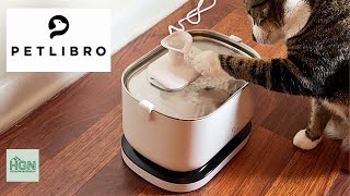 Cat Water Fountain  Petlibro Battery Operated Water Fountain [upl. by Akisej67]