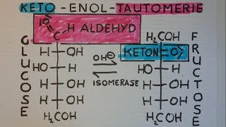 GLUCOSE FRUCTOSE ist das nicht EGAL KetoEnolTautomerie  lessonsathome [upl. by Mavilia]