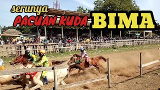 pacuan kuda BIMA [upl. by Creighton]