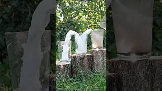 Filtering Stream Water with Toilet Paper DIY Connected Vessels Experiment [upl. by Ahsaetan]