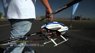 Beam Avantgarde 600 Flybarless Electric RC Heli Flight [upl. by Beffrey]