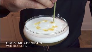 Basic Cocktails  How To Make The Whiskey Sour Reverse Dry Shake [upl. by Mccready381]