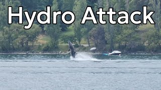 Hydro Attack at Queenstown [upl. by Soalokin416]