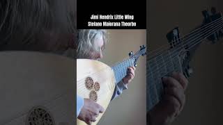 Little Wing Jimi Hendrix Stefano Maiorana Theorbo  Short [upl. by Malvin877]