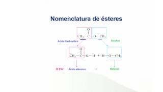 FQBNomenclatura Aromáticos SECCIÓN 2 [upl. by Inihor]