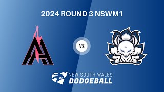 2024 NSWDL R3 Mens Div 1 Canterbury Nines vs Avalon Assassins [upl. by Alacim213]