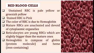 Blood Histology [upl. by Gipson]