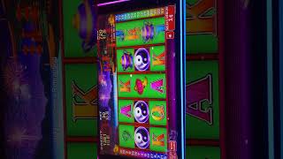 Morongo casino entertainment gambling [upl. by Schaeffer990]