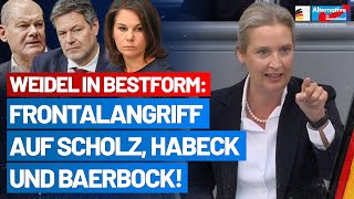 Alice Weidel rechnet mit den DeutschlandHassern von der Regierung ab  AfDFraktion im Bundestag [upl. by Nosrak357]