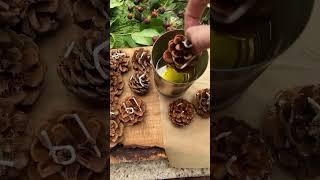 Easy DIY Pine Cone Fire Starters  The Perfect Winter Gift Idea [upl. by Surbeck]