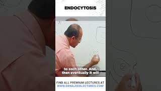 Endocytosis drnajeeb shortvideo drnajeeblectures [upl. by Dygert]