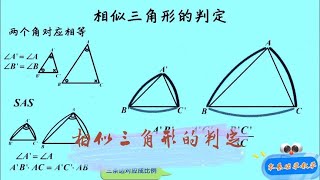 9b018相似三角形的判定 零基础学数学 涨知识 初中数学 [upl. by Fitton]