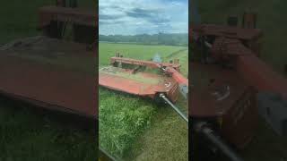 Second cutting going down for cow chow dairyfarming johndeere baleage newholland [upl. by Esialb137]