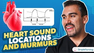 Heart Sound Locations amp Murmurs for Nursing  Cardiac Assessment [upl. by Juna830]