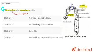 kinetochore is associted with [upl. by Isabeau]