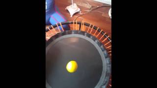 Bellicon 39 inch bungee rebounder  Lemon DROP test [upl. by Oinotnaesoj771]