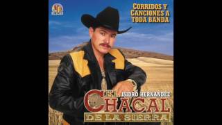 Isidro Hernandez quotEl Chacal De La Sierraquot  Corridos Y Canciones A Toda Banda Disco Completo [upl. by Wilser744]