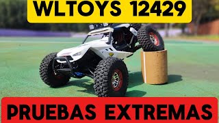 WLTOYS 12429 REVIEW Y PRUEBAS EXTREMAS 🔥👌🤙💀💨 rccars wltoys [upl. by Derk]