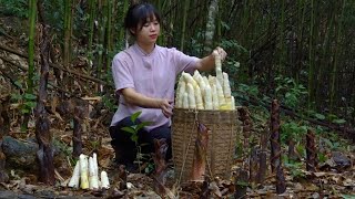 Going up the mountain to pick bamboo shoots How to preserve bamboo shoots for a long time Cooking [upl. by Emorej]