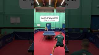 Table Tennis Barriers Problem [upl. by Bocoj]