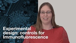 Experimental design what controls should I include for Immunofluorescence IF  CST Tech Tips [upl. by Valer]