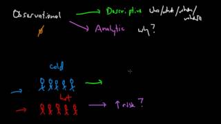 Intro to Epidemiology Study Types [upl. by Nelleus199]