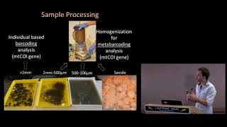 DNA barcoding and metabarcoding reveal diversity in cryptic benthic communities [upl. by Jori]