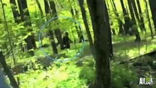 Best of Bigfootage  Finding Bigfoot [upl. by Enedan]