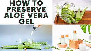 3 WAYS TO STORE amp PRESERVE FRESH ALOE VERA GEL FOR NATURAL HAIR [upl. by Elison]