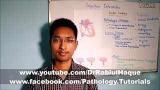 Infective Endocarditis Part 1 HD [upl. by Seravaj]