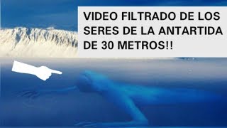 FILTRAN VIDEO DE UN SER GIGANTE QUE HABITA EN LA ANTARTIDA [upl. by Rollo]