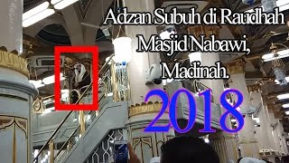 Adzan Subuh di Raudhah Masjid Nabawi Madinah 2018 [upl. by Madelena681]