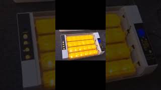 24 Eggs Chinese Imported Incubator machine shorts [upl. by Nylarat]