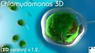 Chlamydomonas 3D  From Biological Cells to Biofuels 2D version 12 [upl. by Esiom]