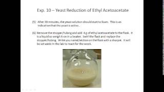 Exp 10  Yeast Reduction PreLab Lecture Video [upl. by Wildermuth]