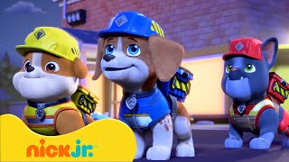 Rubble amp Crew  Die Crew schafft Schatten  Nick Jr Deutschland [upl. by Laicram]