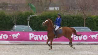 Sara Loumaye y “Nimbus du Page” destacaron en la primera grande del CSN2 Las Cadenas [upl. by Tegirb647]