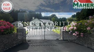 KNOCKBRITTA KILLENAULE  FOR SALE [upl. by Ahsiemak134]