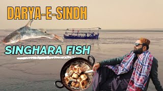 Singhara Fish Party at DaryaeSindh  First time khai aur taste bohat hi Mazy ka😋 [upl. by Albin]