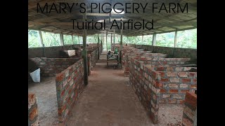 Marys Piggery farm Vawk in sak lai mek [upl. by Rimidalv800]