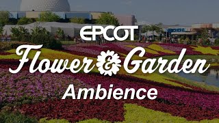 Epcot Flower and Garden Festival Ambience  Disney World Epcot Ambience Scenescape [upl. by Tnias]