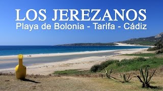 LOS JEREZANOS Bolonia [upl. by Ttam575]