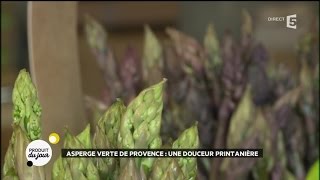 Asperge verte de Provence  une douceur printanière [upl. by Tillfourd]