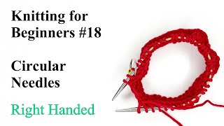 How to Knit in the Round using Circular Needles  Knitting for Beginners 18 [upl. by Gerstner228]