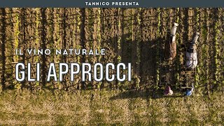 Le differenze fra naturale biologico e biodinamico  Tannico Flying School [upl. by Cariotta]