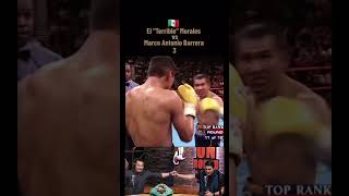 Marco Antonio Barrera Vs Erik el terrible morales [upl. by Bodkin]