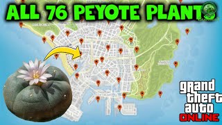 GTA Online All 76 Peyote Plant Locations  5000 Rp Per Plant [upl. by Ovid]