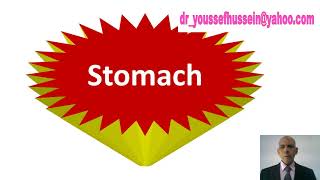 Stomach  Surface anatomy  Relations  Blood supply  Lymphatic drainage  Peptic ulcer  Cells [upl. by Nnaeoj]